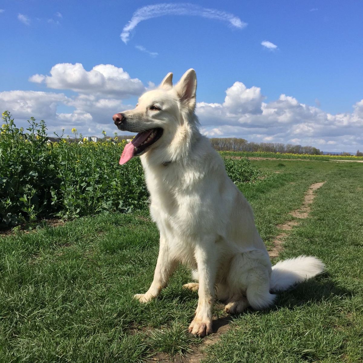 berry-carina-kuehne_2016